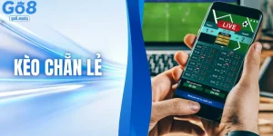 Bí Mật Về Kèo Chẵn Lẻ: Bí Kíp Soi Cầu “Bách Phát Bách Trúng”