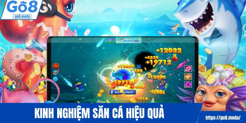 Tích lũy kinh nghiệm săn cá đại dương hiệu quả